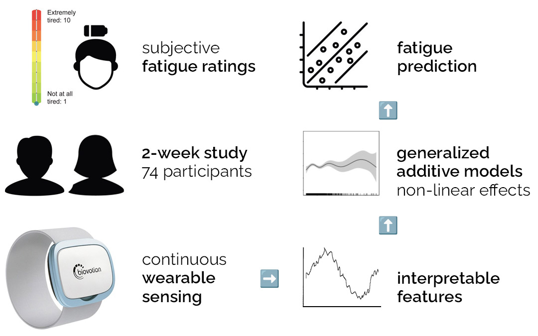 Biomarkers for daily fatigue teaser image