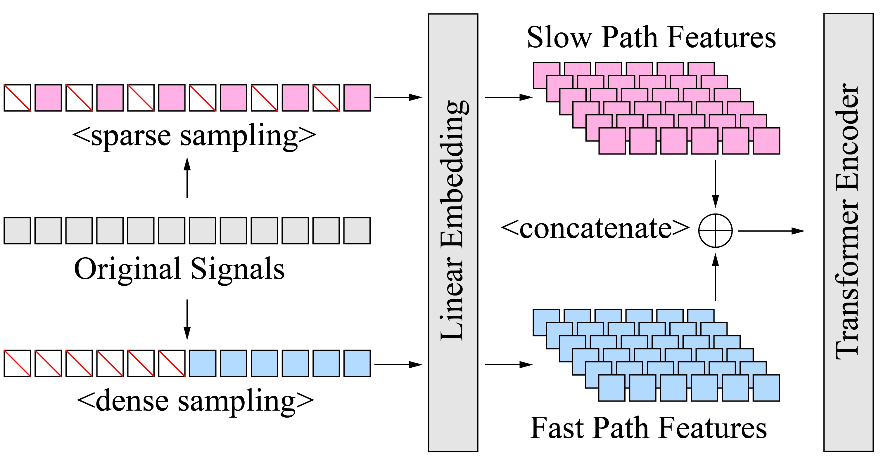 slowfast