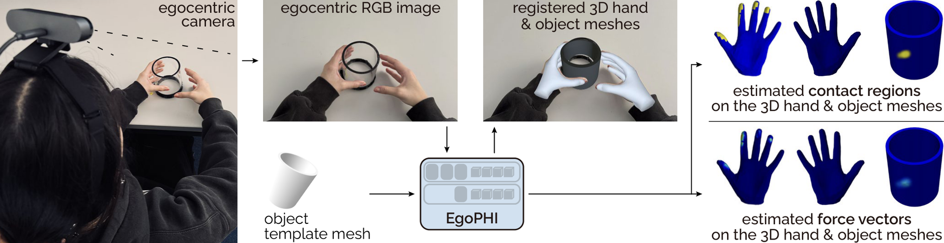 EgoPHI teaser image